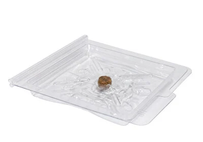 Stick silverfiskfälla, 2-pack